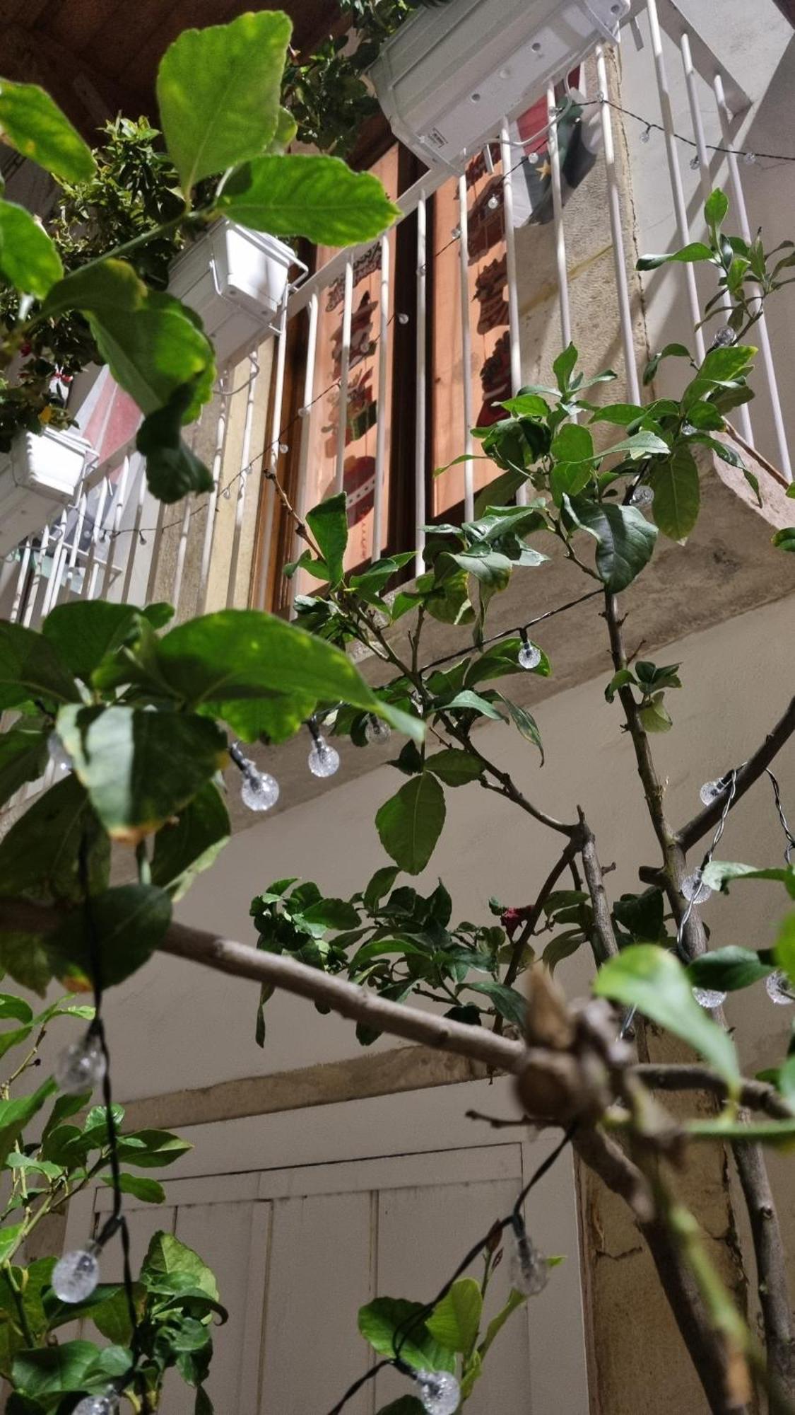In Parva Domus Apartment บิตอนโต ภายนอก รูปภาพ